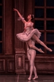 belle (1)